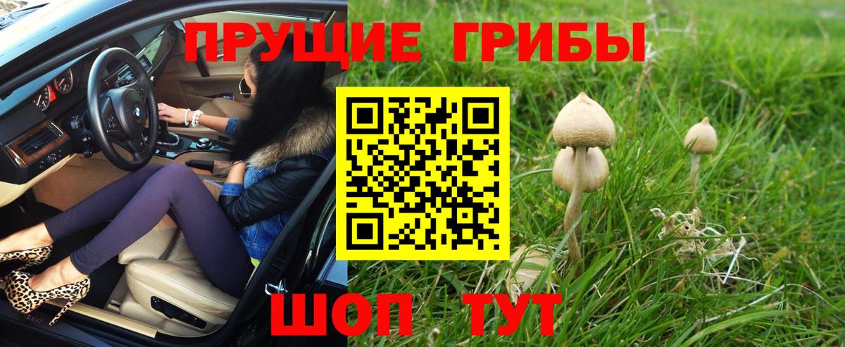 Псилоцибиновые грибы Psilocybe  Вход с VPN  наркота  Азов  Галлюциногенные грибы прущие грибы 
